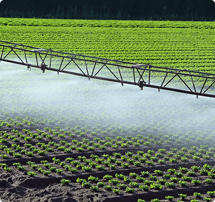 Community Engagement