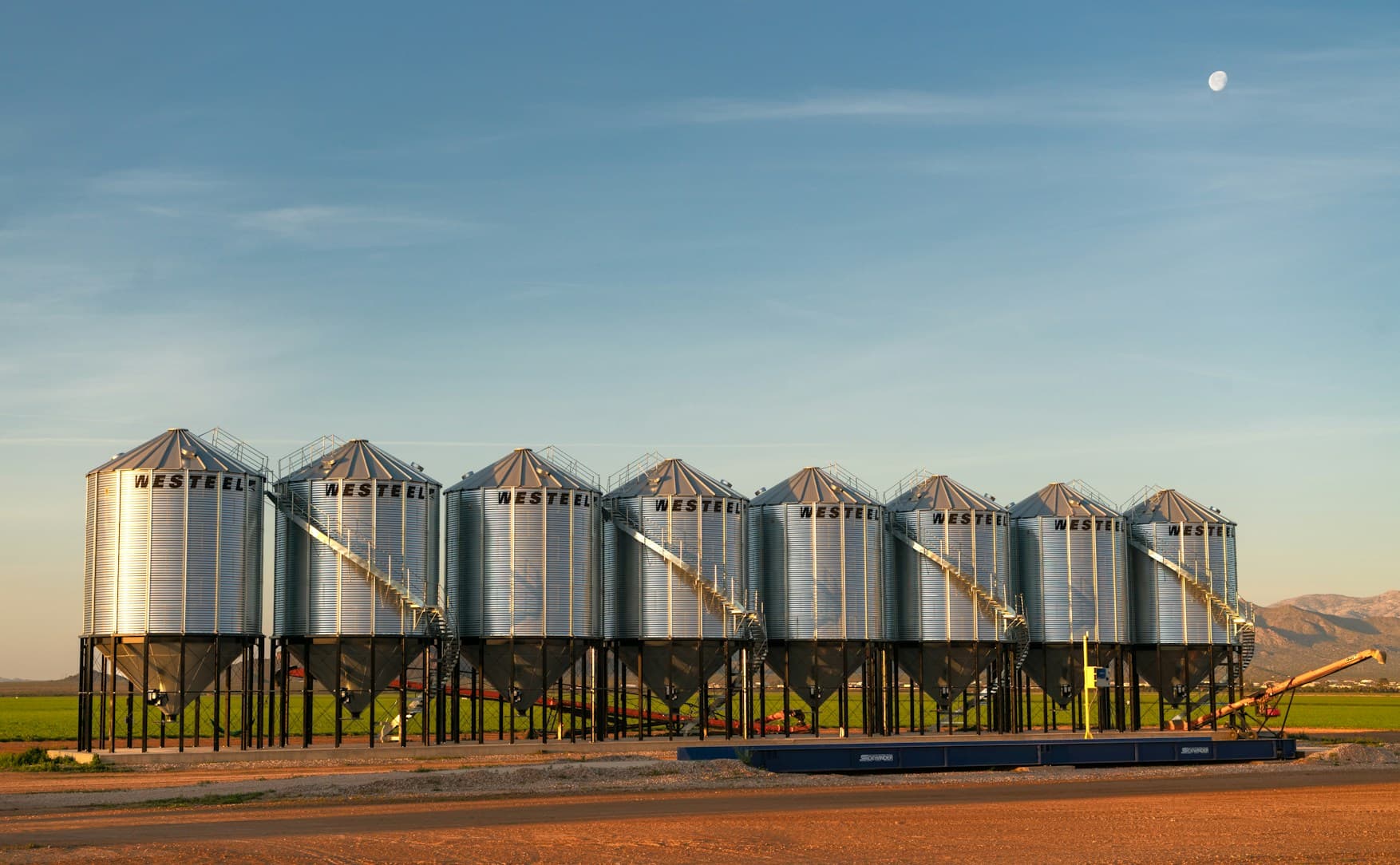 Industrial grain storage silos